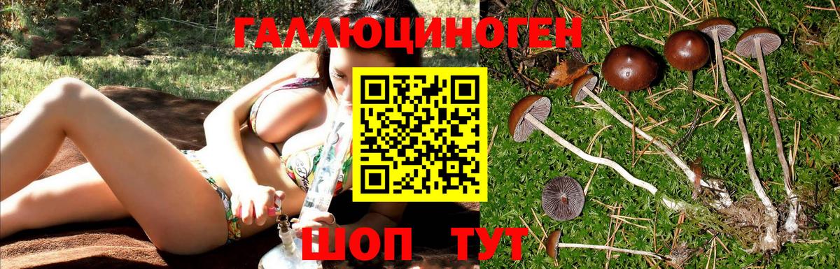 Галлюциногенные грибы MAGIC MUSHROOMS Зерноград