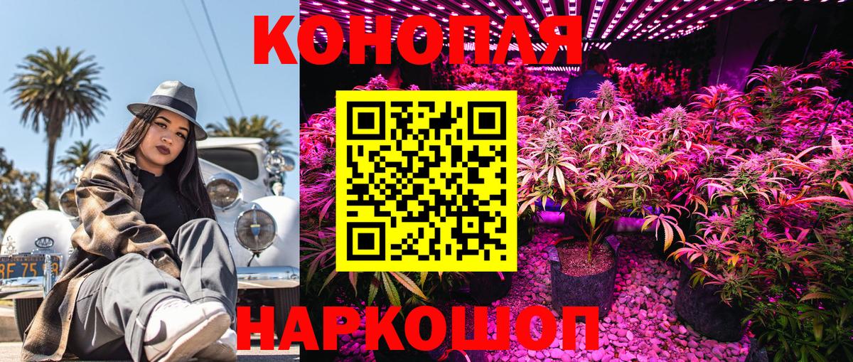 Каннабис Bruce Banner Зерноград